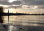 011_25895 | Hamburg Panorama an der Auenalster; die Trme der Hansestadt ragen in den Abendhimmel; zwei Blesshhner auf dem Wasser.