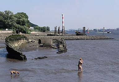 011_25830 | ein Holz Schiffsrumpf / Schiffswrack liegt am Ufer der Elbe; im Hintergrund ein Leuchtturm; eine Frau mit Hund geht zum Baden in das Elbwasser.