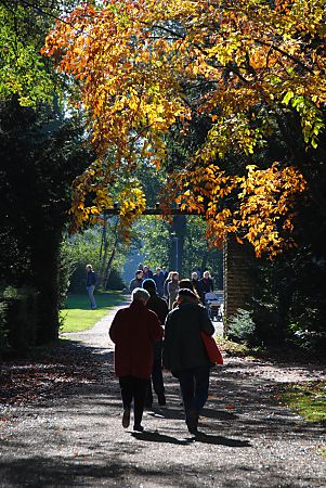 011_25982 | Sonntag Nachmittag im Stadtpark in Hamburg Winterhude; die Bltter der Bume erstrahlen in der Sonne in ihren Herbstfarben.