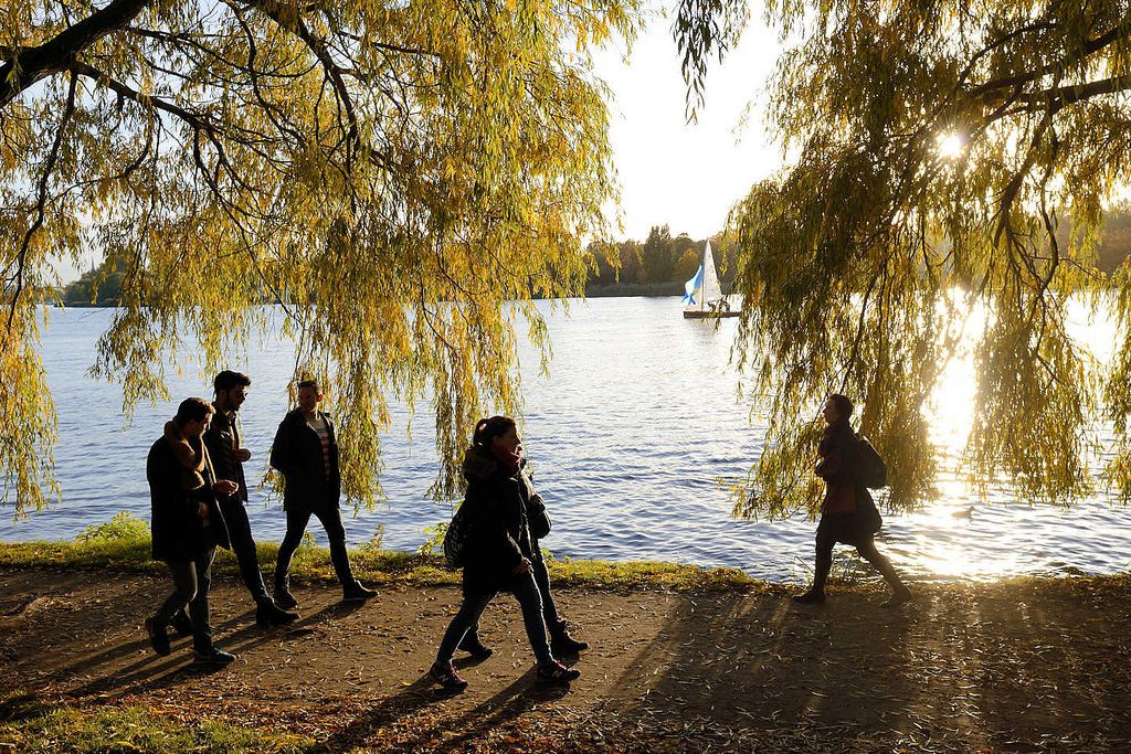 6924 Sonntagsspaziergang im Herbst unter Herbstbumen in der Sonne an der Alster - Alsterufer in Hamburg Winterhude, Bellevue.