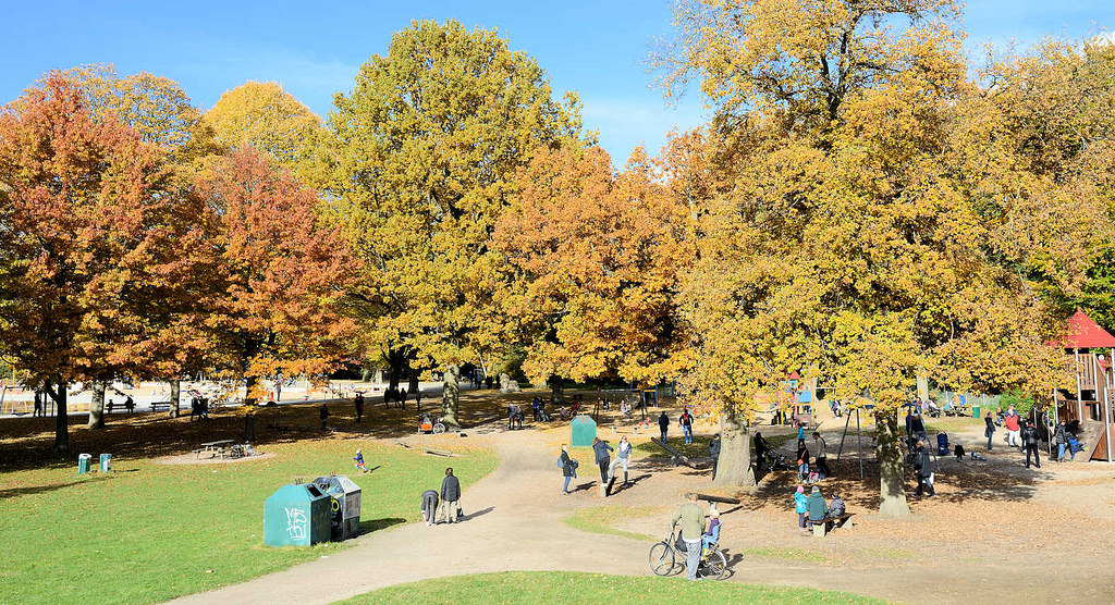 6646 Blick ber den Kinderspielplatz beim Planschbecken im Hamburger Stadtpark - hohe Bume mit bunt gefrbtem Herbstlaub sumen die Wege und den Platz; Kinder spielen in der Sonne.