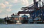 011_25840 | Containerschiffe liegen am Container -Terminal Altenwerder und werden ber hohe Brcken entladen; ein Segelschiff kreuzt im Hamburger Hafen.