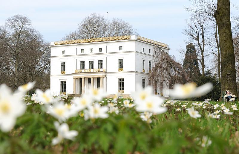 Hamburg im Frhling! Waldanemonen vor dem Jenischhaus. 116_2033 | Auf einer Wiese im Jenischpark in Hamburg-Klein Flottbek blhen die weien Waldanemonen - die Buschwindrschen sind ein eindrucksvolles Zeichen des Frhlings - die Bume sind noch kahl. Im Hintergrund das prchtige Jenischhaus;  das klassizistische Landhaus wurde 1834 fertig gestellt - der Architekt war Franz Gustav Forsmann