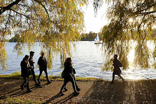 6924 Sonntagsspaziergang im Herbst unter Herbstbäumen in der Sonne an der Alster - Alsterufer in Hamburg Winterhude, Bellevue. 