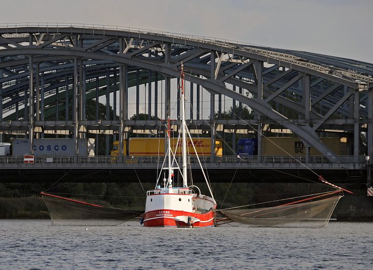 011_26043 |  AEin Finkenwerder Fischereiboot fischt vor den Hamburger Elbbrcken - lks. und re. des Fischerboots sind die Netze zu erkennen, die in das Elbwasser gesenkt werden. Auf den Elbbrcken ist ein Stau - Lastwagen stehen dicht an dicht zwischen dem Brckenbogen und Brckenpfeilern aus Eisen. www.christoph-bellin.de 