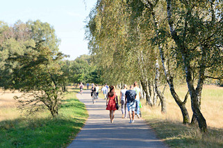 8747 Naherholungsgebiet in Hamburg Lohbrügge - SpaziergängerInnen und RadfahrerInnen auf einem Wanderweg in der Boberger Niederung in Hamburg Lohbrügge.