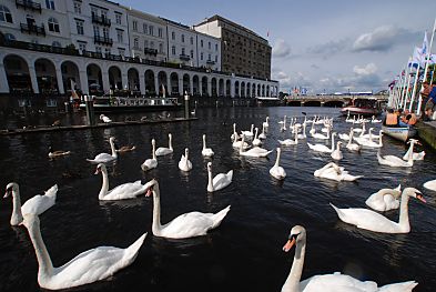 011_25952 | Blick ber die Kleine Alster Richtung Reesendammbrcke; dahinter beginnt die Binnenalster - ein Kanu und eine Barkasse liegen am Alster Kai  